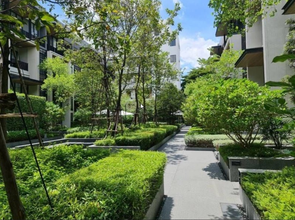 5 Bedrooms, 5 Bathrooms + 1 Maid Room 431 sqm size Quarter 31 For Rent 220k for fully furnished/ 150k for unfurnished