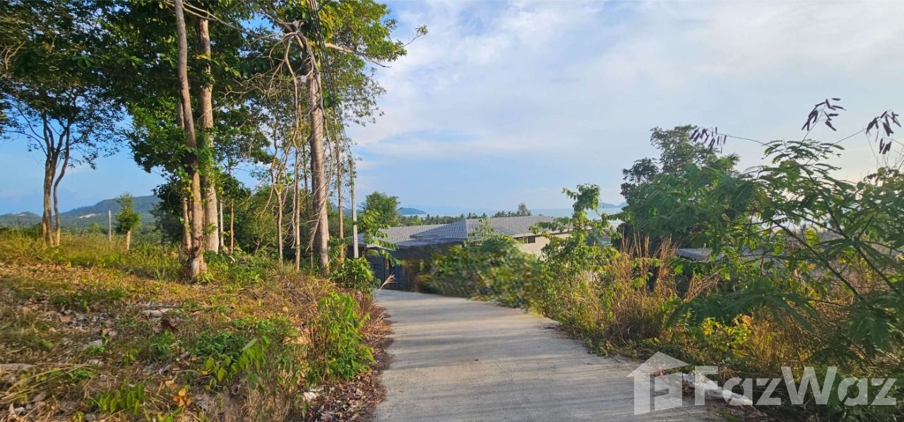 1,600 SqM land for sale in Hing Kong Top Hill, Koh Phangan. Panoramic sea views, ideal for a private villa or resort. Priced at ฿6,500,000. Don't miss out!