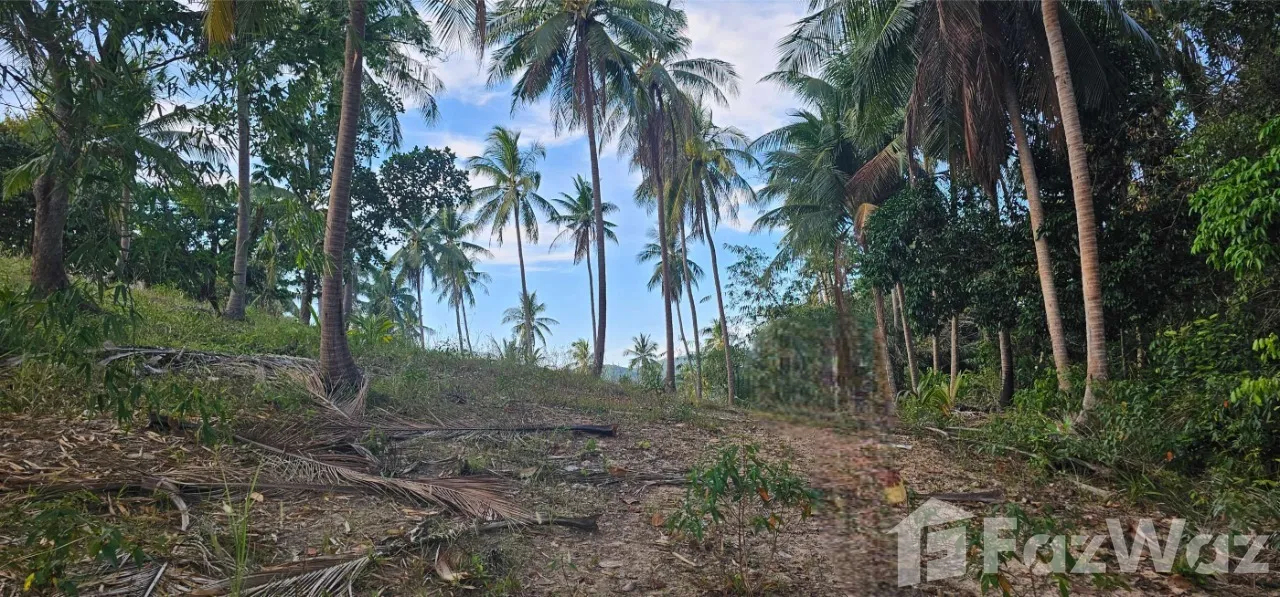 1,600 SqM land for sale in Hing Kong Top Hill, Koh Phangan. Panoramic sea views, ideal for a private villa or resort. Priced at ฿6,500,000. Don't miss out!
