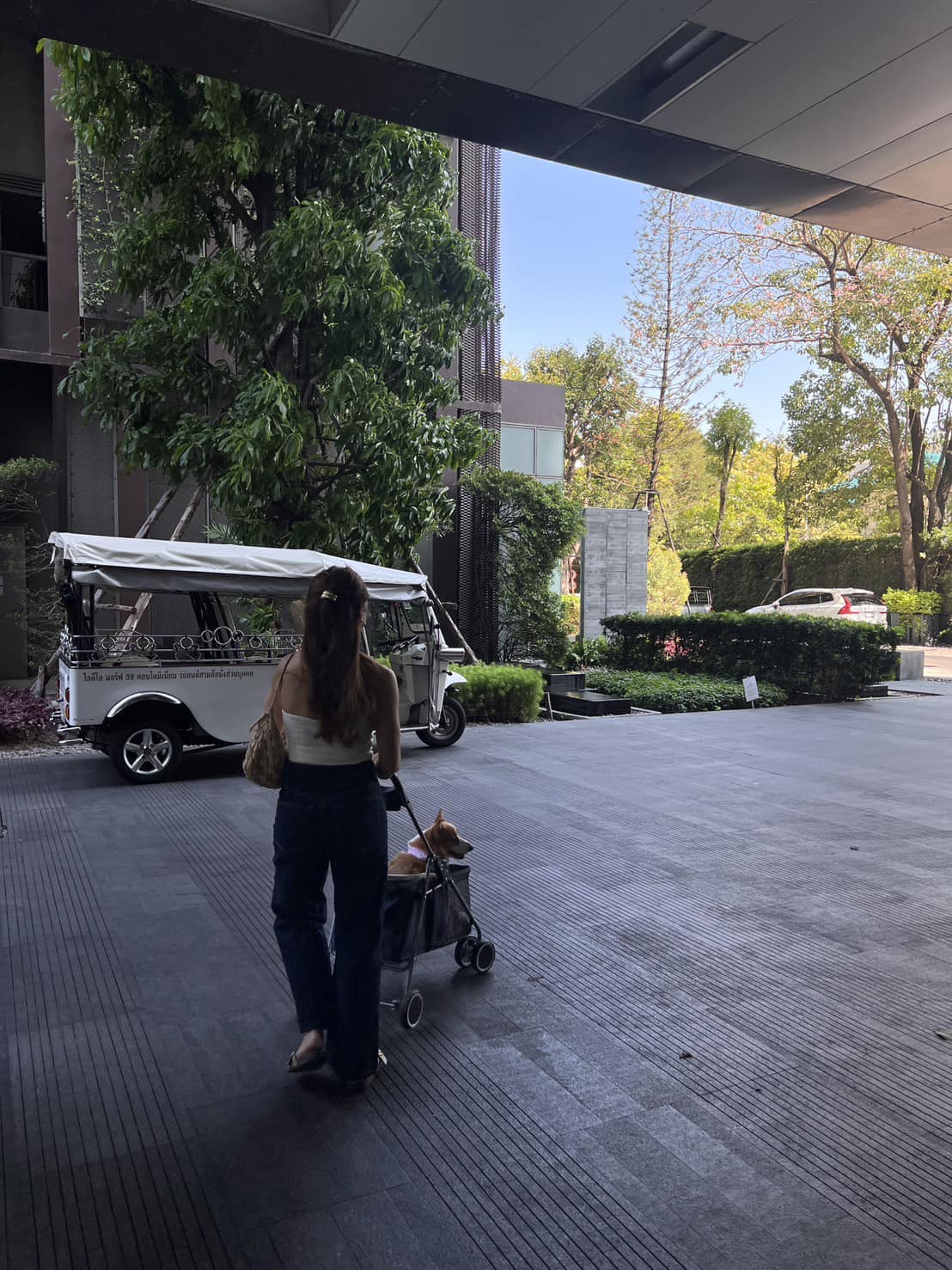Spacious 2-bed 74.25 SQM condo at Ashton Morph 38. Pet-friendly, luxury high-rise near BTS Thong Lo. Sale 13M THB. Contact now for a private viewing!